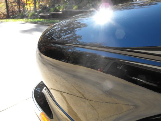 2009_1108Jag0024.jpg