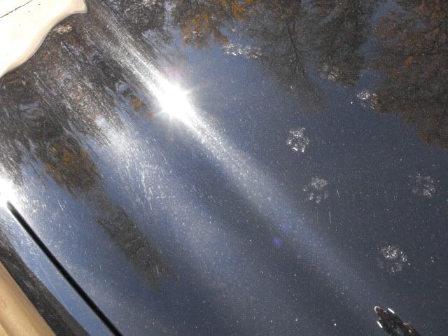 2009_1115M-B0028.jpg