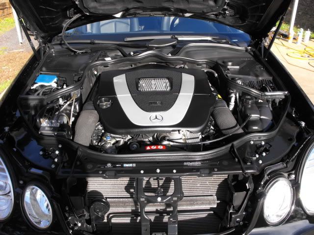 2009_1115M-B0043.jpg