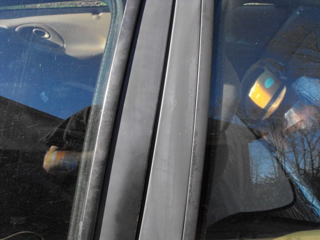2009_1128Taurus0003.jpg
