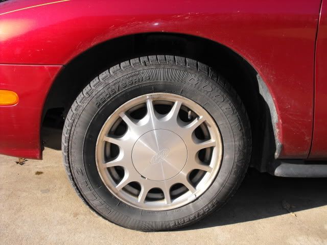 2009_1128Taurus0005.jpg