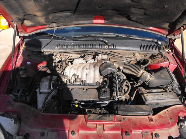 2009_1128Taurus0006.jpg