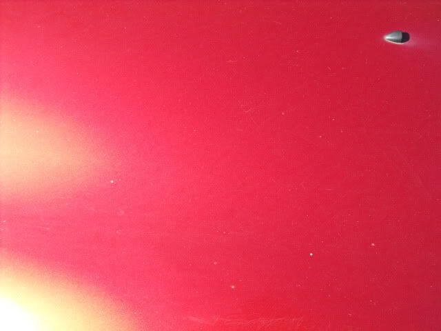 2009_1128Taurus0010.jpg