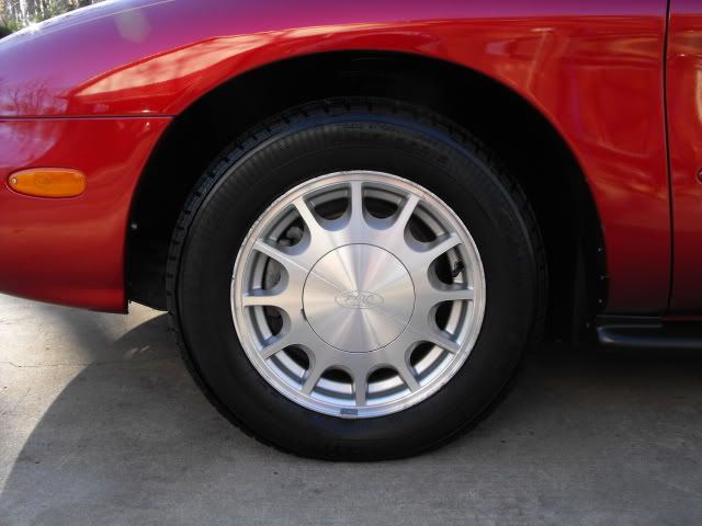 2009_1128Taurus0015.jpg