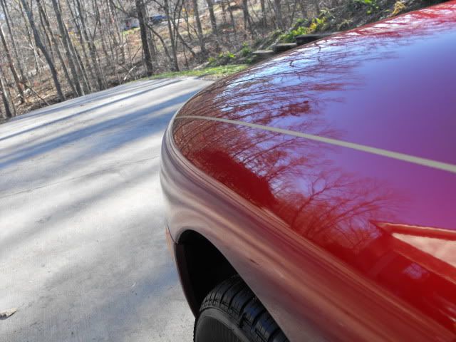 2009_1128Taurus0019.jpg