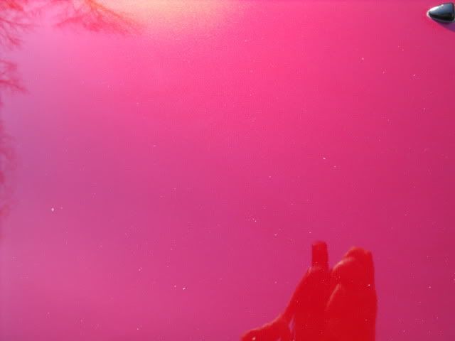 2009_1128Taurus0020.jpg