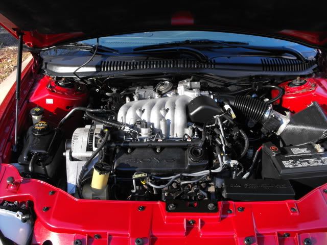 2009_1128Taurus0021.jpg