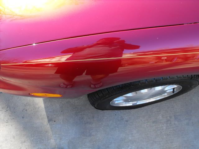 2009_1128Taurus0022.jpg