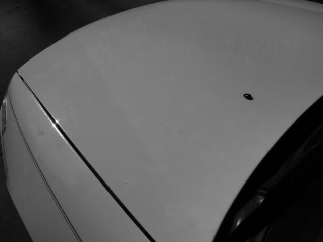 2010_0103AccordHonda0009.jpg