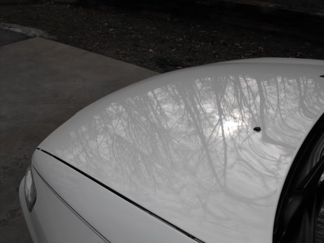 2010_0103AccordHonda0019.jpg