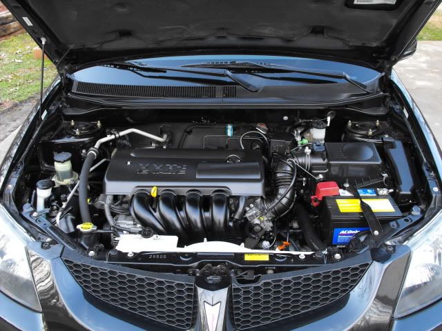 2010_0222PONTIAC0016.jpg