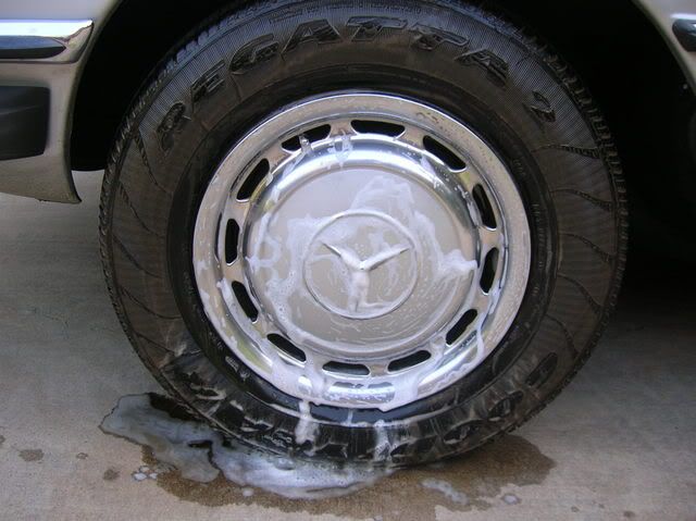 ARODGBE004.jpg