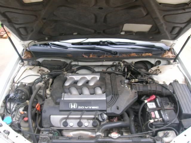 Accord007.jpg