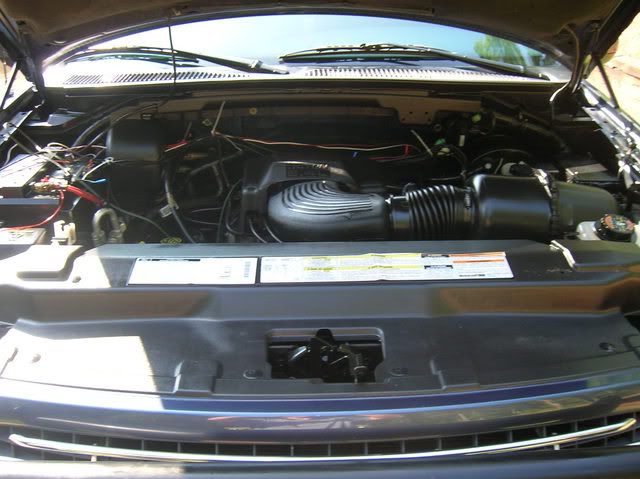 Beast008.jpg