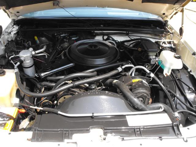 ElCamino007.jpg