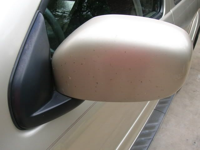 Infiniti006.jpg