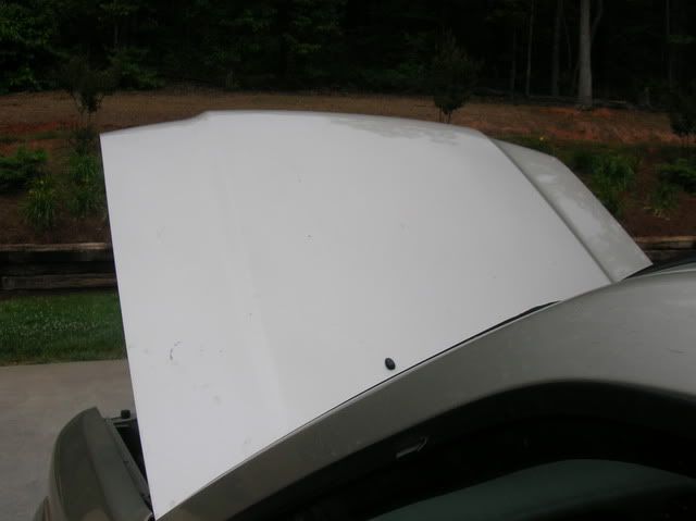 Infiniti011.jpg