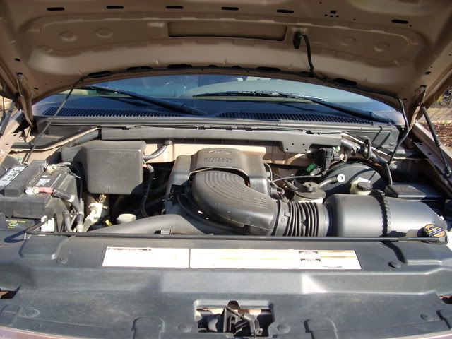 MattF-150005.jpg