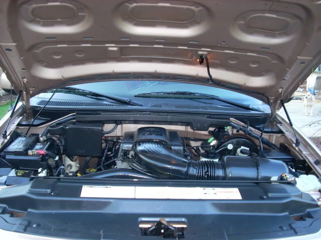 MattF-150021.jpg