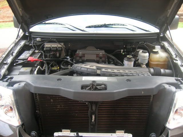 Vess1004.jpg