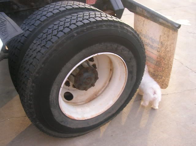 Vessstruck005.jpg