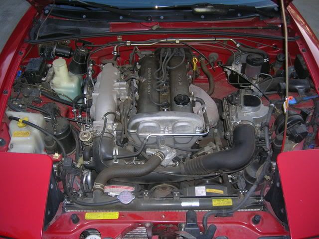 maz004.jpg