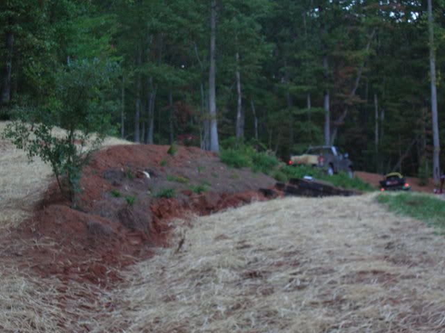 yardwork001.jpg