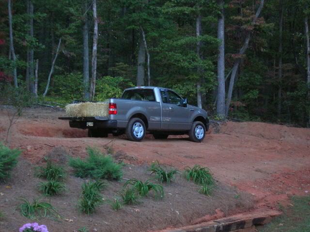 yardwork004.jpg