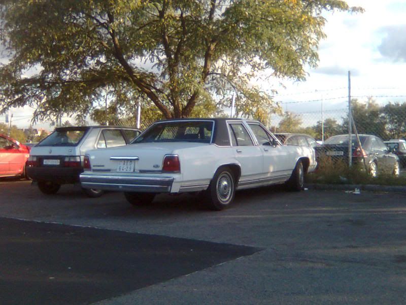 Image206.jpg