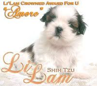 LiLam Crowned Award For U
