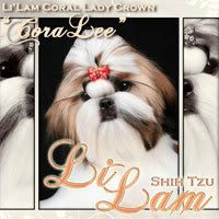 LiLam Coral Lady Crown