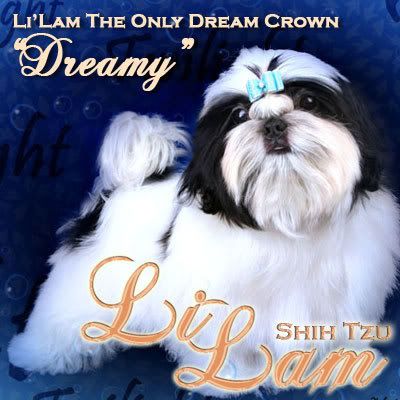 LiLam The Only Dream Crown