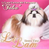 LiLam Catch My Triumph