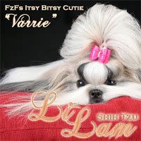 FzFs Itsy Bitsy Cutie