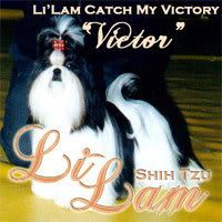 LiLam Catch My Victory