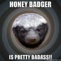 honeybadger.jpg