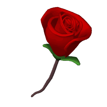 UN LINDO SALUDO <b>DE AMOR</b> Y UN LINDO SALUDO <b>DE AMOR</b> Y