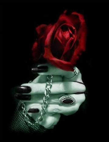 gothic rose photo: rose Everyrose.jpg