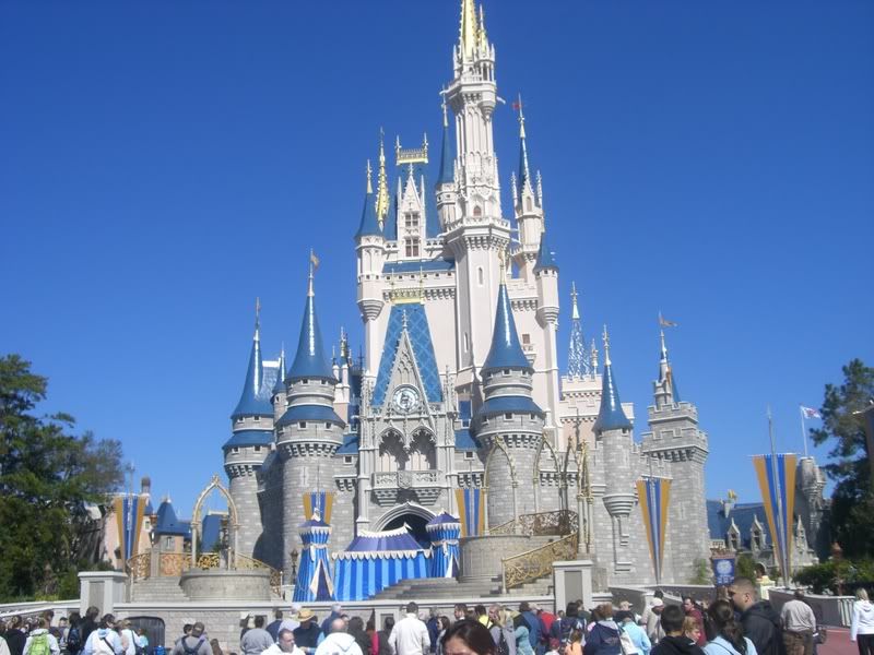 CINDERELLAS CASTLE