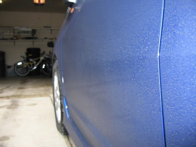 IMG_3260.jpg