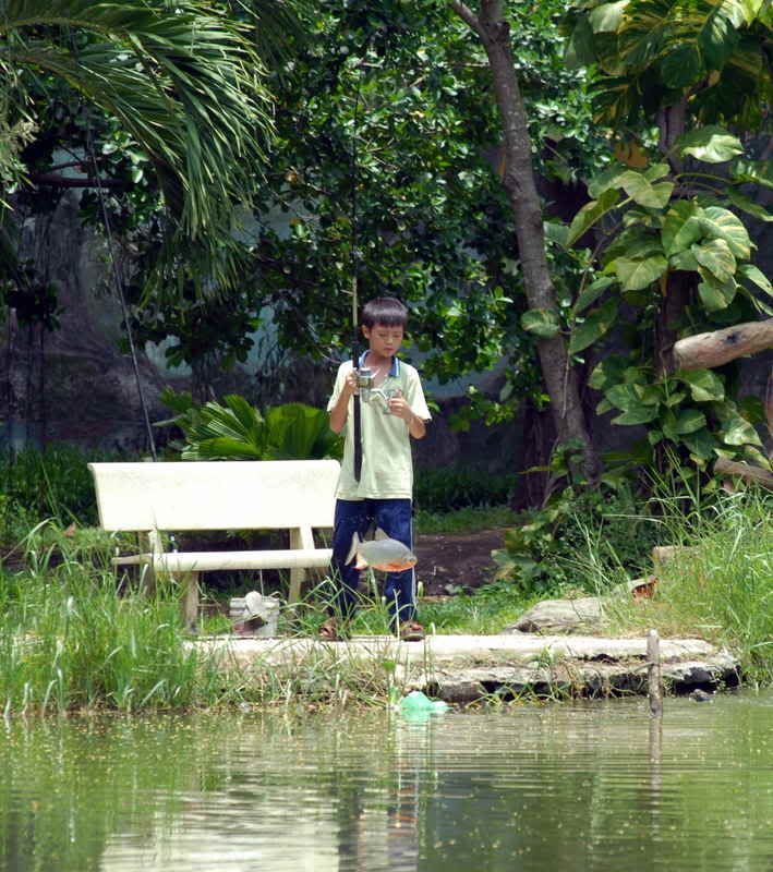 Cá bơi trên bờ hờ hờ