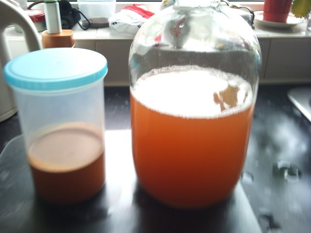 2011-04-29102645.jpg
