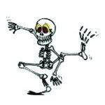 skeleton Pictures, Images and Photos