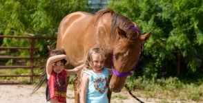 Acquired Vintage Barbie Horse Today! - Horse Fun, Art and Photo