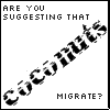 8bc54ea4.gif coconuts2 image by zeeky314