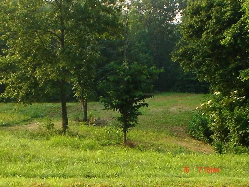 DSC02896plot.jpg