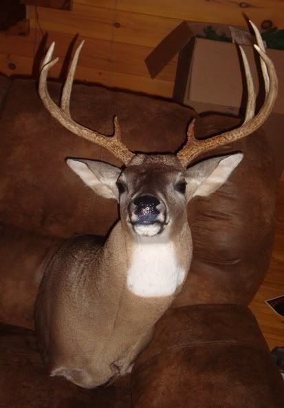 DSC06953mlerbuck2010.jpg