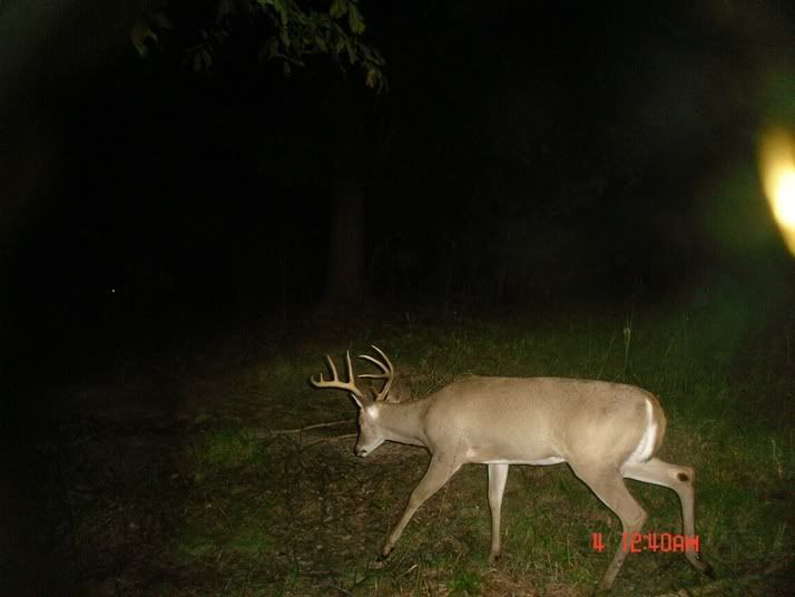 DSC02409yeticam.jpg?t=1256305017