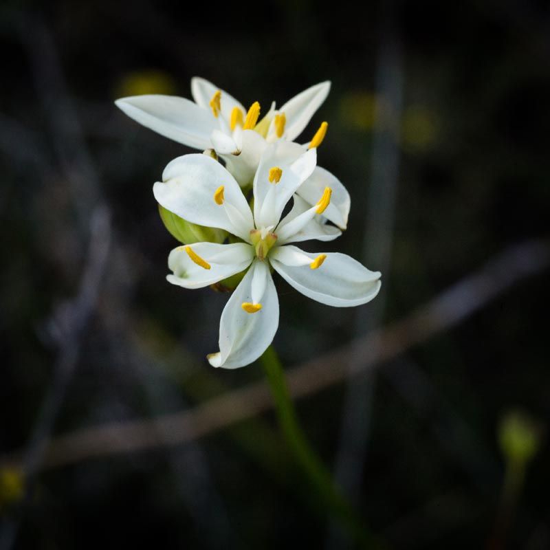 IMAGE: http://i103.photobucket.com/albums/m150/Echo63/BEN22349_zpsvcuw3vae.jpg