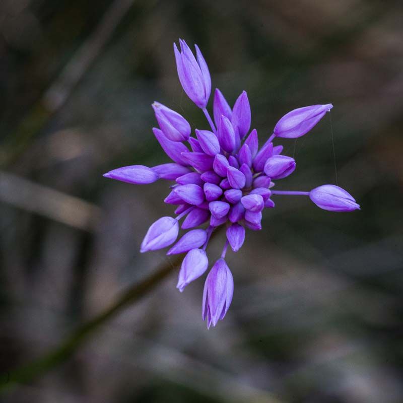 IMAGE: http://i103.photobucket.com/albums/m150/Echo63/BEN22352_zpsjeasqii1.jpg